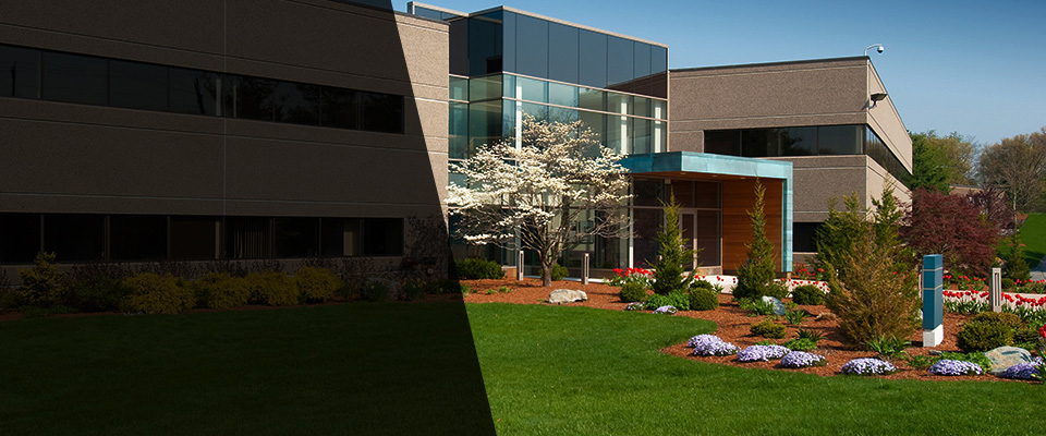 Wasilla Landscapers