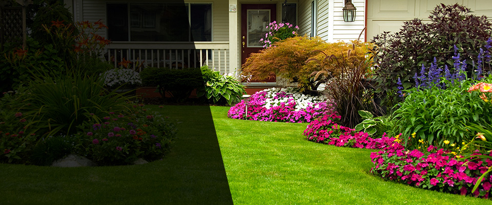 Wasilla Landscapers