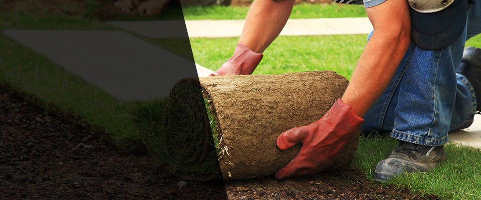 Wasilla Landscapers